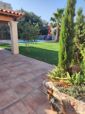 Anavissos Oasis